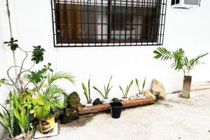 The ProjectRajahCrib Diving Pool with great amenities