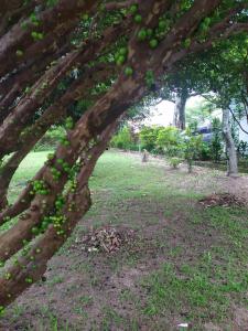 Casa aconchegante Ribeirão da Ilha