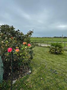 Maisons de vacances Gite Les Sardines : photos des chambres