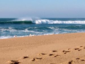 Maisons de vacances Ocean house : photos des chambres