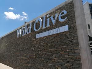 Wild Olive in Windhoek