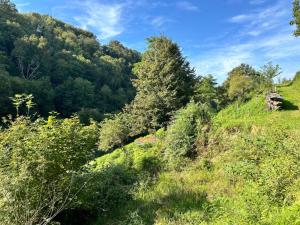 Chalets Gite a la Ferme : photos des chambres