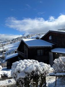 Appartements Grand studio Combloux - Vue Mont Blanc : Appartement 1 Chambre