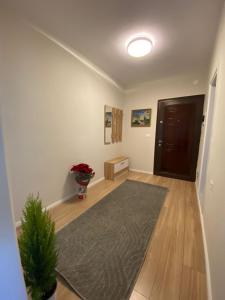 Emmas Place- Apartamenti modern por miqesor ne qender te Elbasanit