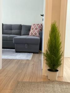 Emmas Place- Apartamenti modern por miqesor ne qender te Elbasanit