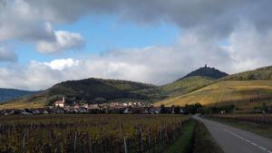 Appartements La maison des vignerons : photos des chambres