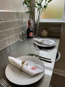 Luxury two bedroom Loft