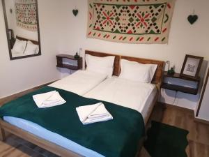 Romanian House Studio