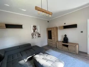 Mieszkanie 1 pokojowe z dostępem do działki, ogrodu - Rybie