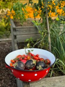 Homestead at Stefkas