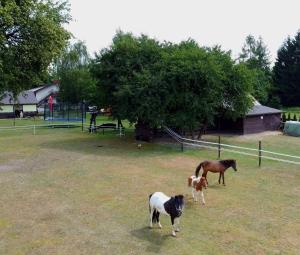 Agroturystyka KRAINA JEZIOR