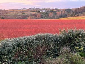 Villas La maison de la Corniche : photos des chambres
