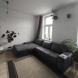 Chic studio in Viennas heart