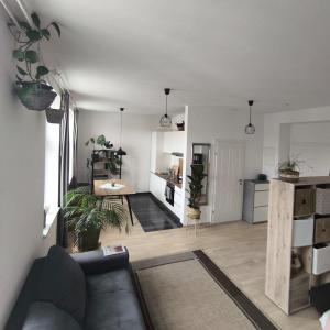 Chic studio in Viennas heart