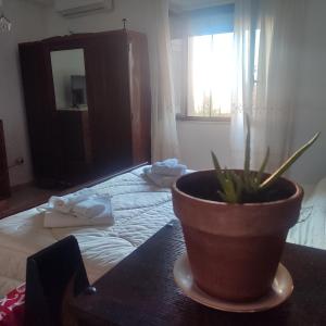 Casa Camella