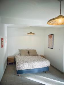 Maisons d'hotes Maison d-hotes et appartement Villa Palma : photos des chambres
