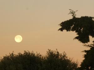 Maisons de vacances Les Gites du Mont Ventoux : photos des chambres