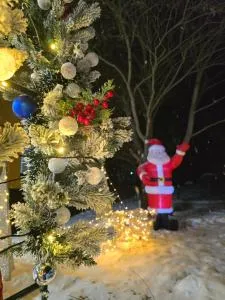 Chalet Resort Weekend BORJOMi - Daba