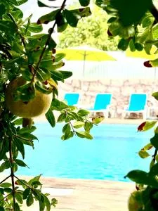 Hakuna Matata - Sousel