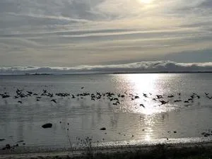 Häuschen mit privatem Schleizugang - Масхольм