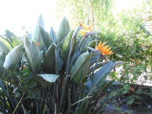 Casa en Punta Mogotes