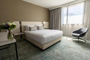 Hotels Residence Inn by Marriott Toulouse-Blagnac : photos des chambres