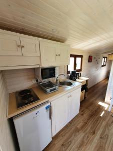 Chalets La roulotte de Rochavelle : photos des chambres