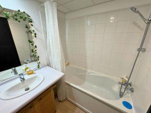 Appartements Jungle - Vue - Clim - Wifi : Appartement 1 Chambre