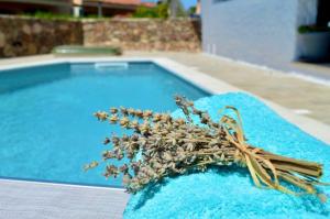 Villa Las Olas, 500m from the sea with private pool img17