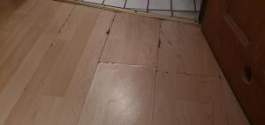 Harsdörffer Apartment