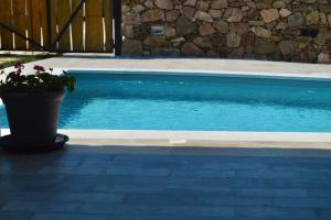 Villa Las Olas, 500m from the sea with private pool img14