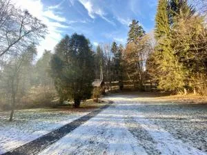 Chata u starkého - Badín