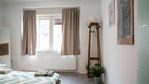 Central apartment great for couples or small families 