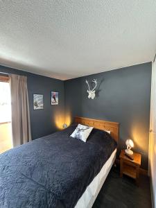 Chalets Home Vars : photos des chambres