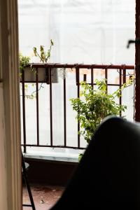 Nice family friendly apartment in the city center