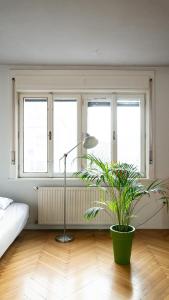 Nice family friendly apartment in the city center