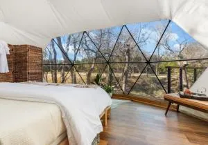 Onera Fredericksburg - Ingram