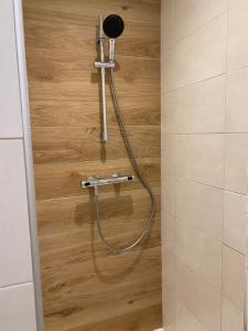 Appartements Studio LE DAHUT : photos des chambres
