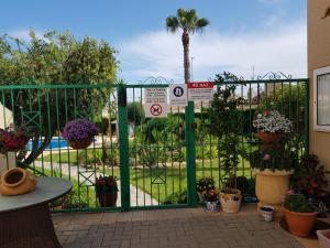Solarium, pool & views in Playa Flamenca