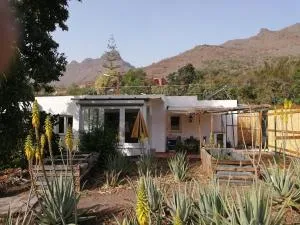 Ruhiges Apartment auf Öko Finca Mogan No3 - Las Casillas