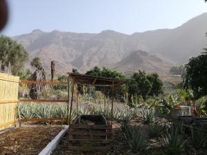 Ruhiges Apartment auf Öko Finca Mogan No3