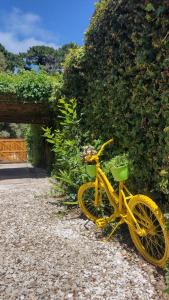 Alquiler casa Mar del Plata