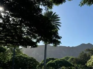 Private Bedroom in Shared Guesthouse Waikiki Beach Area 30 day minimum - Punaluu