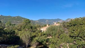 Porto Vecchio - Résidence RIVIERA- Villa Bonifacio