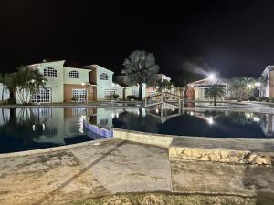 Flamingo city, chichiriviche morrocoy