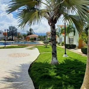 Flamingo city, chichiriviche morrocoy