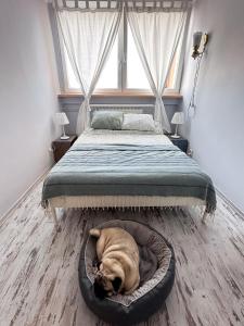 Słoneczny apartament w Kudowie Zdrój