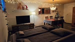 Tule lomalle luppoaikaan