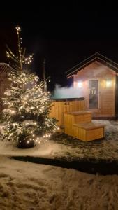 Agroturystyka Sarenka