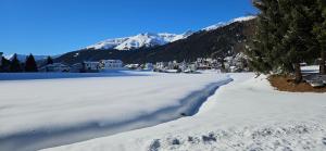 Modernes Studio mitten in Davos